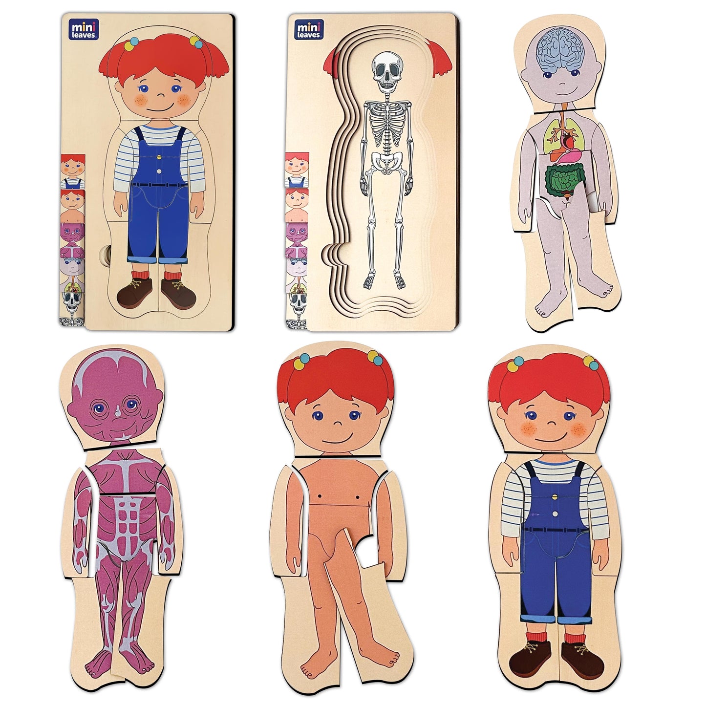 Mini Leaves™ Wooden Human Anatomy 3D Shapes Matching Puzzle – Multilayers Educational Toy for 3+ Years Kids
