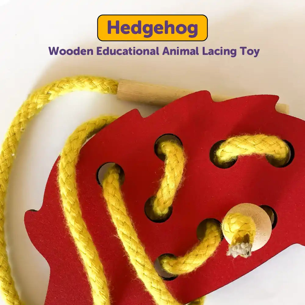 Hedgehog Lacing Activity for Kids 3 Years