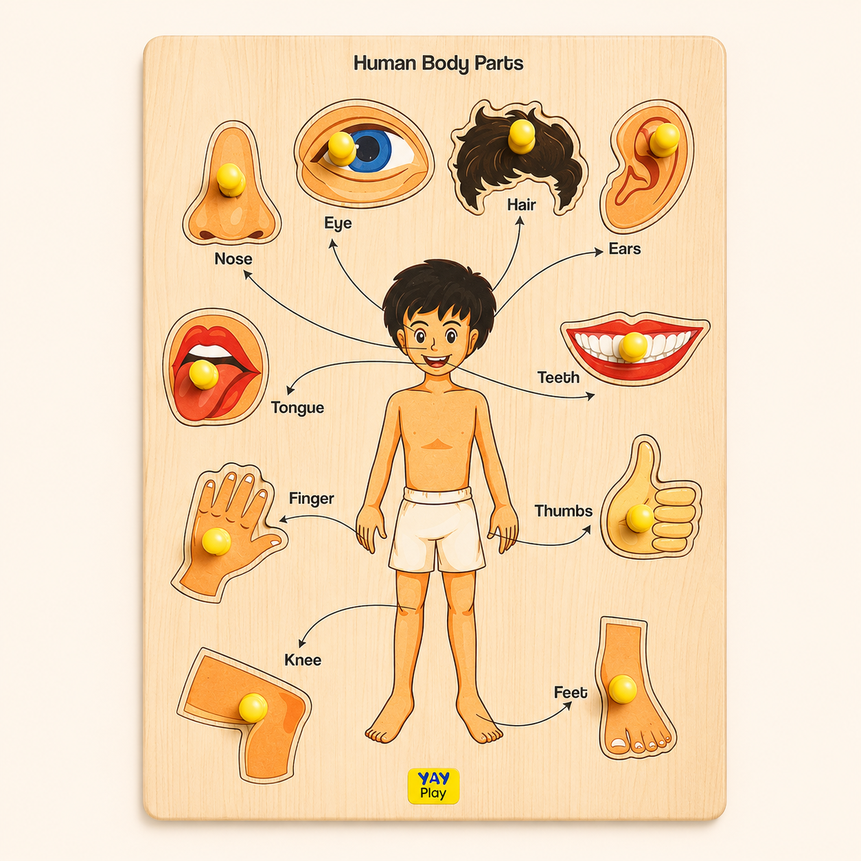 Wooden Human Body Part Knob and Pegged Puzzle for 2+ Years