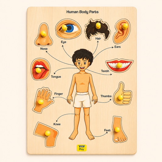 Wooden Human Body Part Knob and Pegged Puzzle for 2+ Years